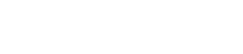 20th anniversary logowhite new