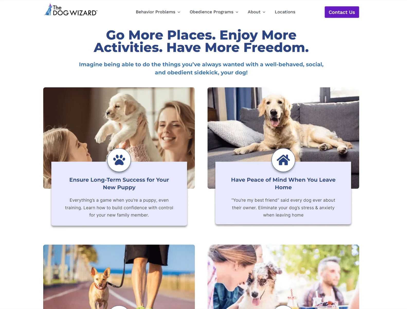 dog training behavior modification the dog wizard 1