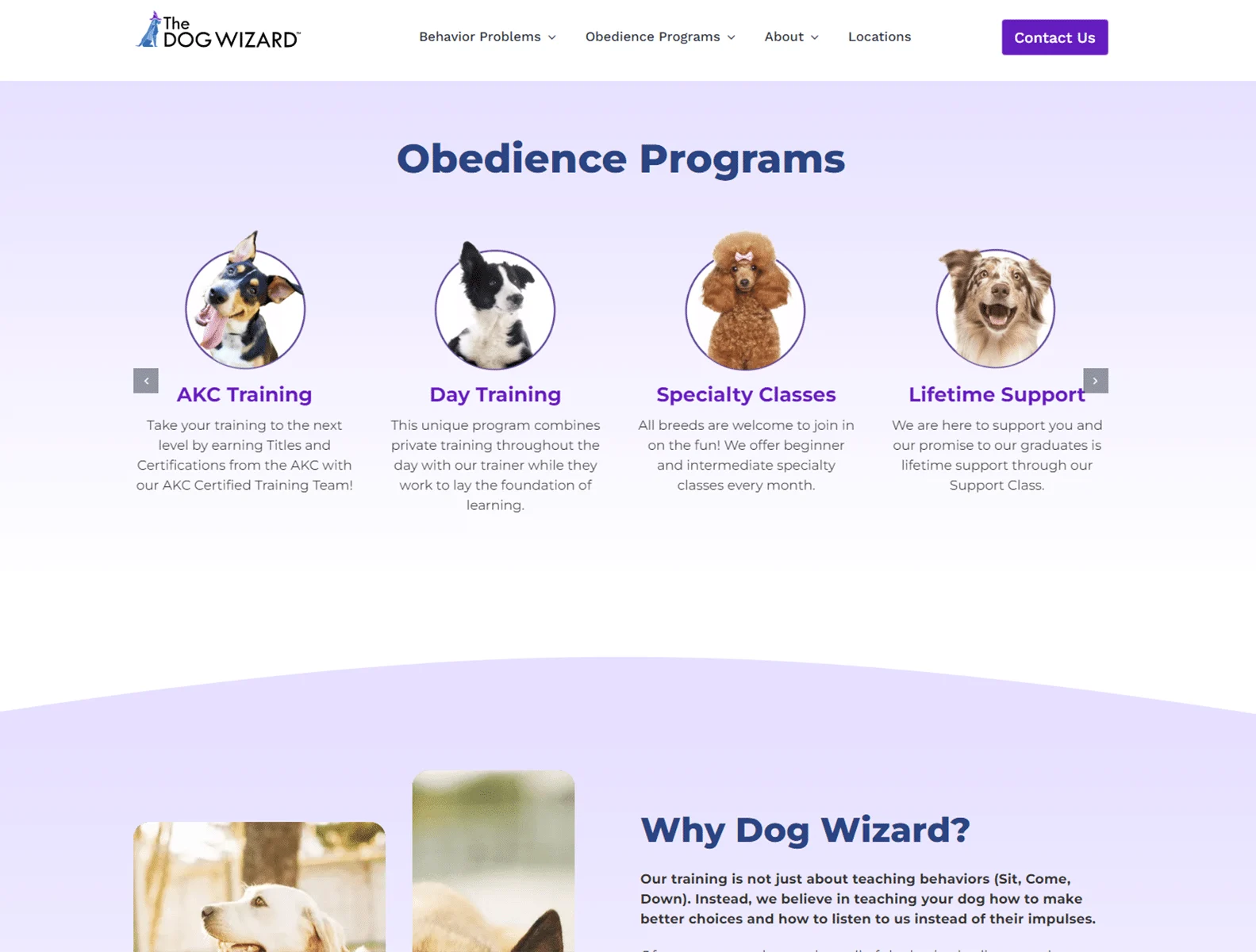 dog training behavior modification the dog wizard 2