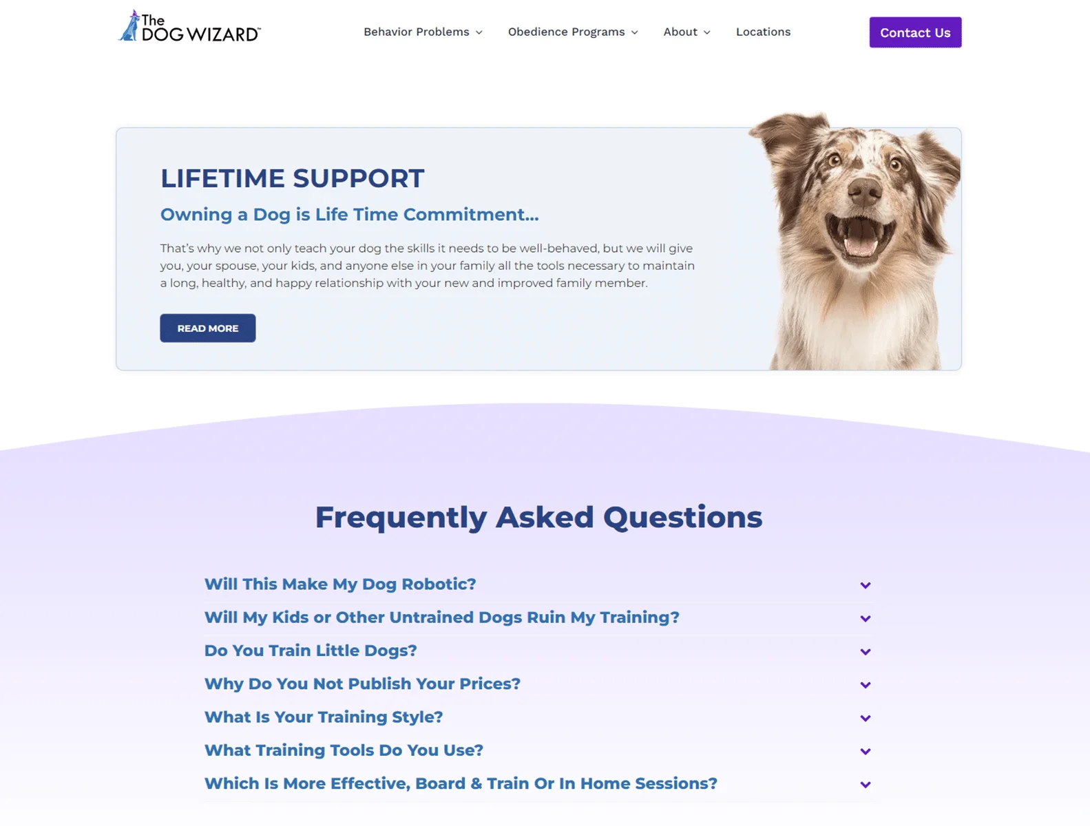 dog training behavior modification the dog wizard 4