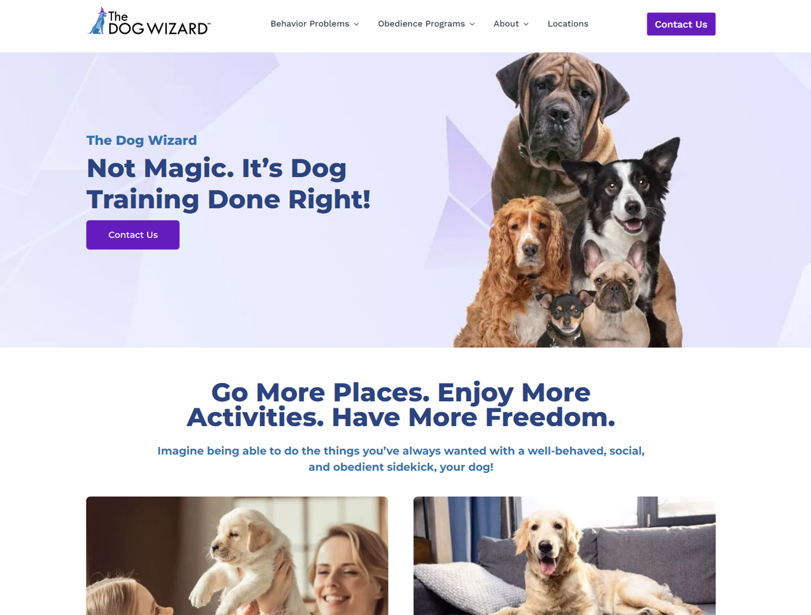 Dog Training Behavior Modification The Dog Wizard