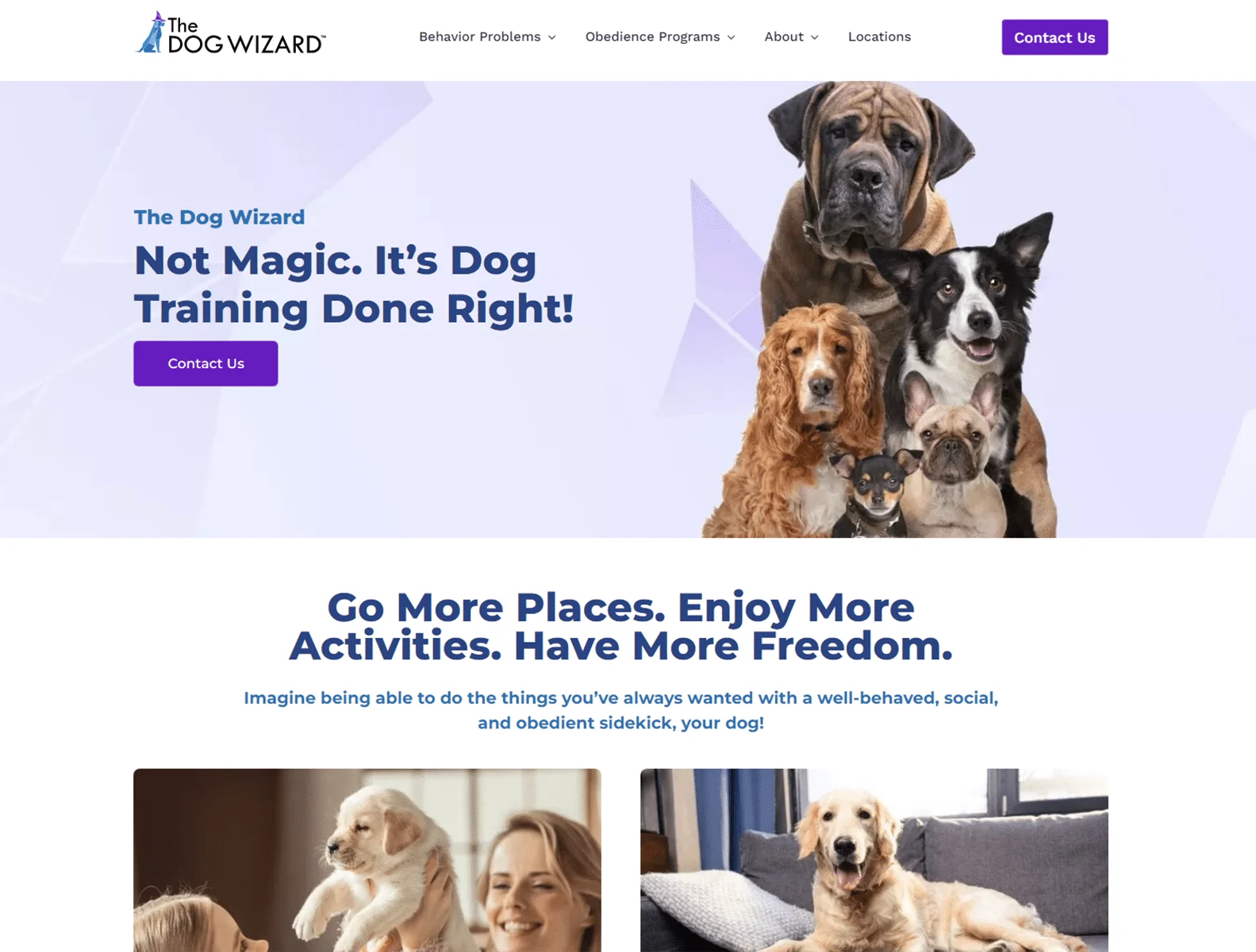 dog training behavior modification the dog wizard