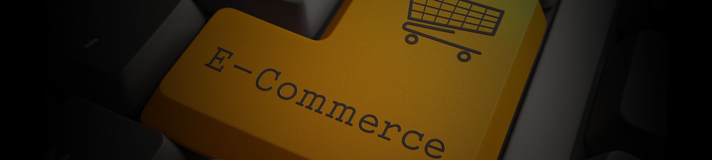 Ecommerce marketing services