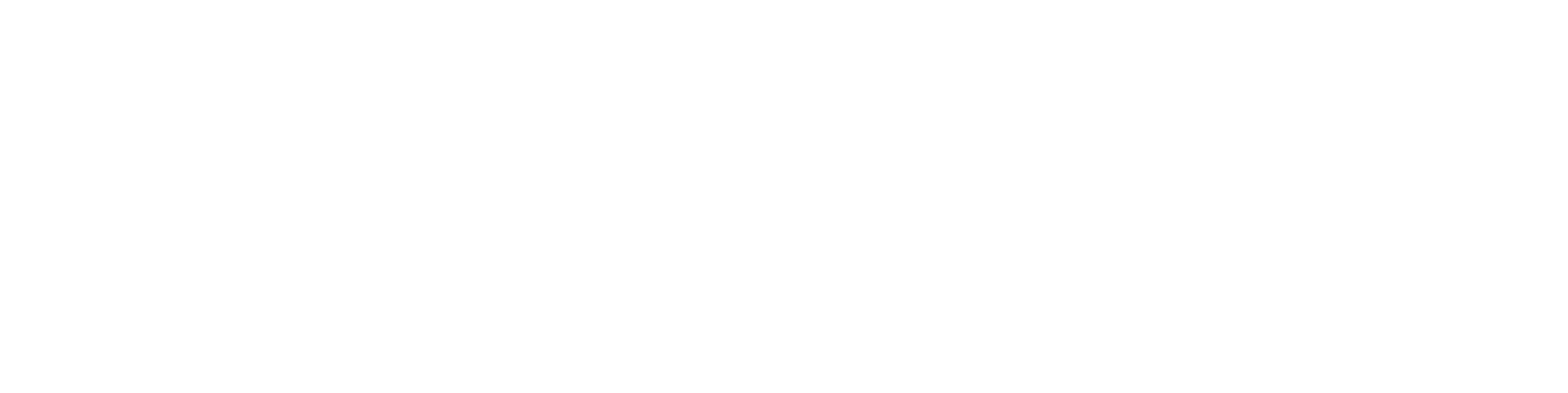 leadtoconversion logo white