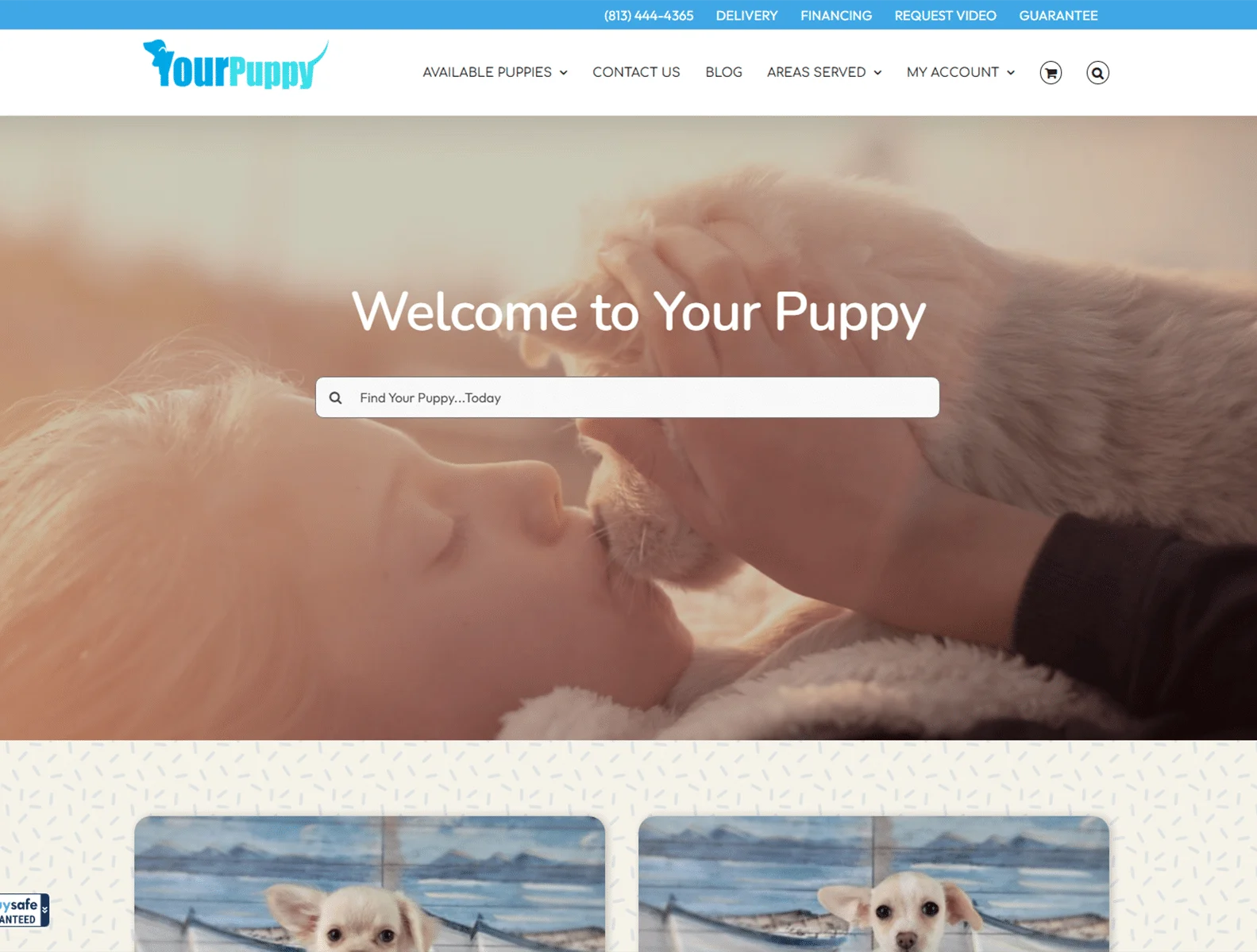 puppies for sale in florida your puppy 1 1