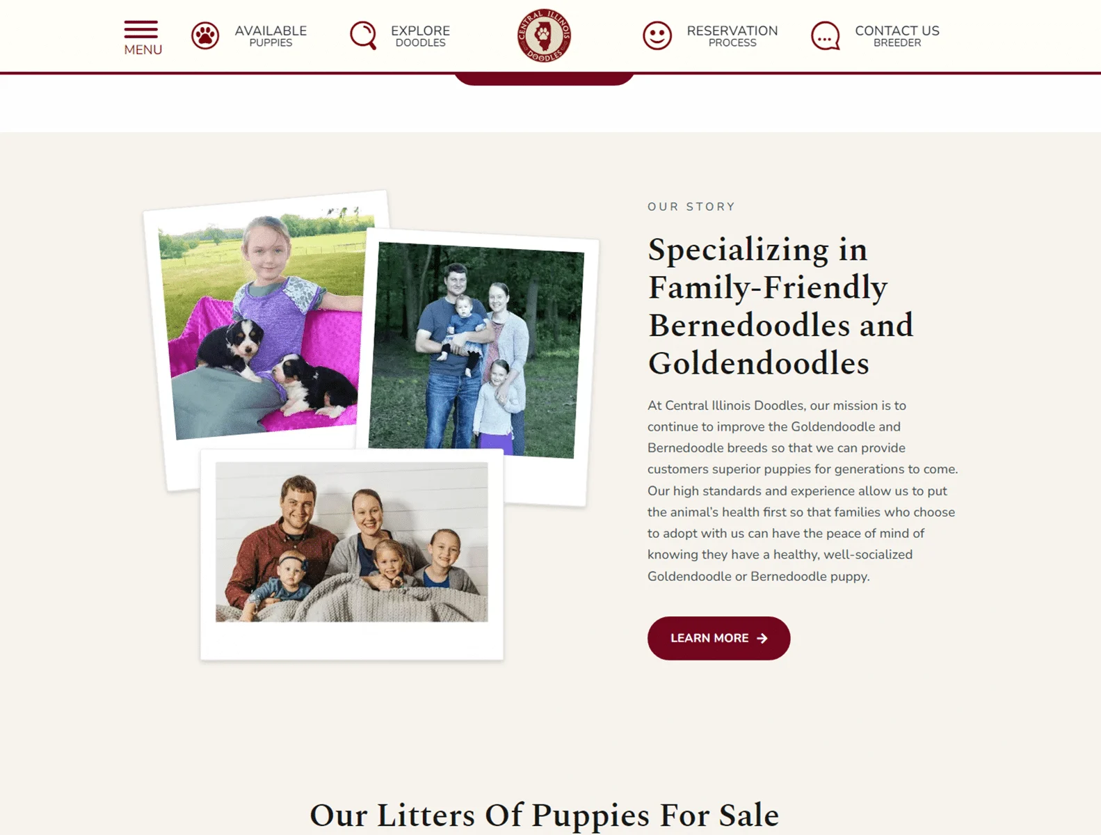 Central Illinois Doodles 2 the best doodle breeder near me central illinois doodles 1