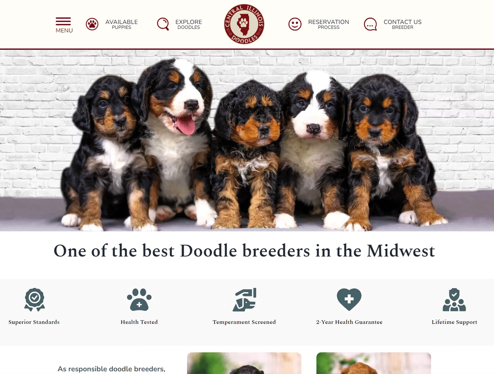 the best doodle breeder near me central illinois doodles 3