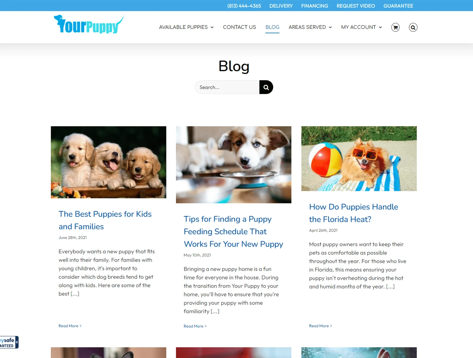 Your Puppy 5 your puppy blogs and latest dog news